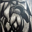 Woodcut Flor de Platano by Jose Mejia Vides